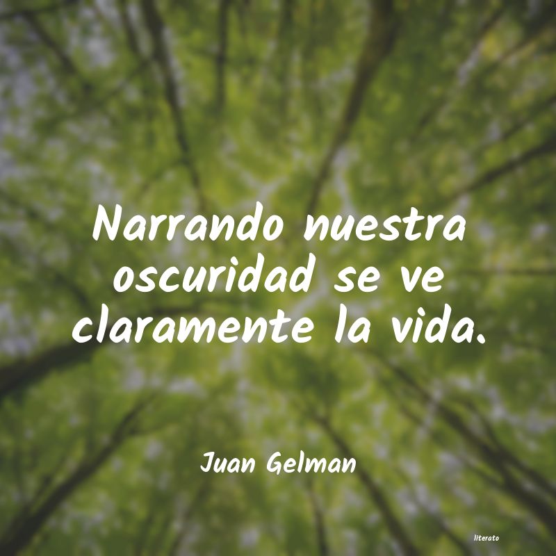 Frases de Juan Gelman