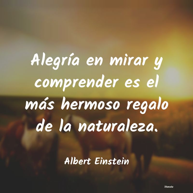 albert einstein citas simple