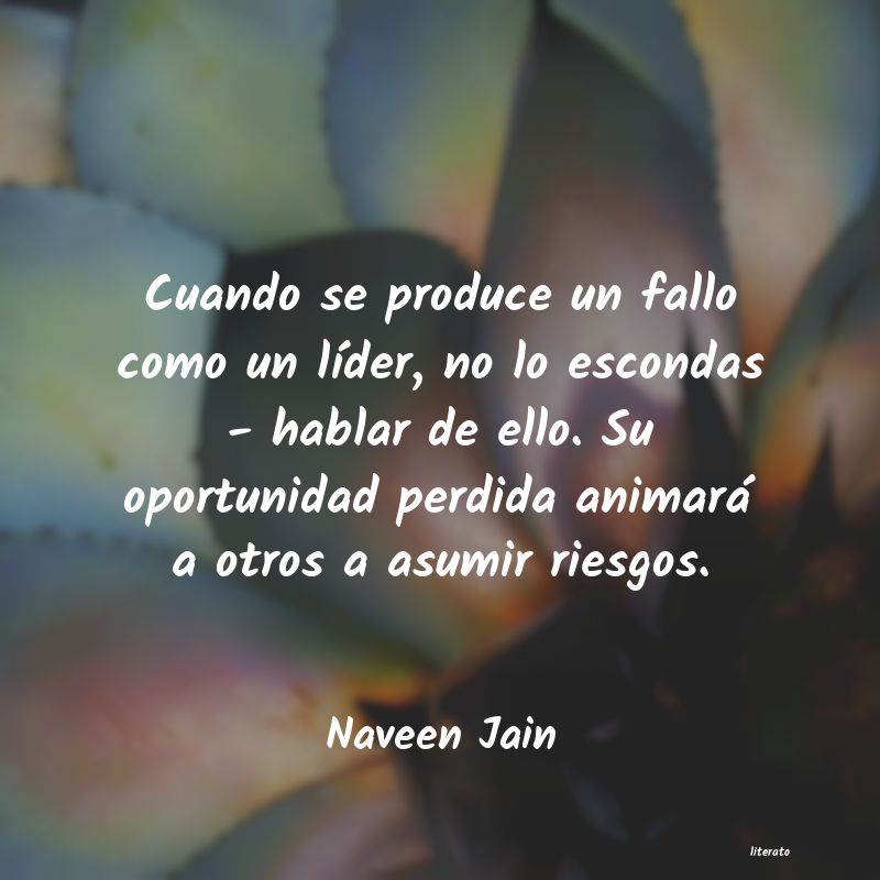 Frases de Naveen Jain