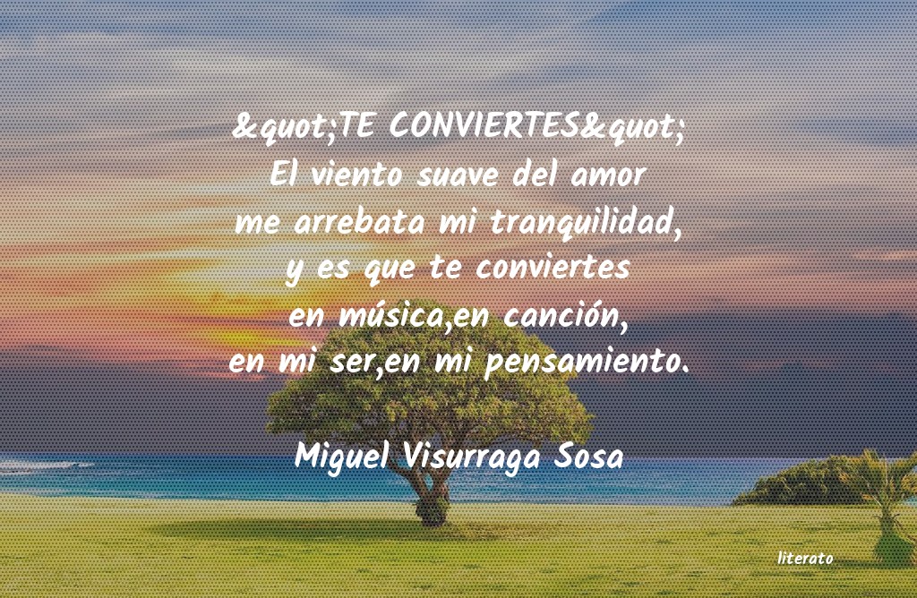 frases de Miguel Visurraga Sosa
