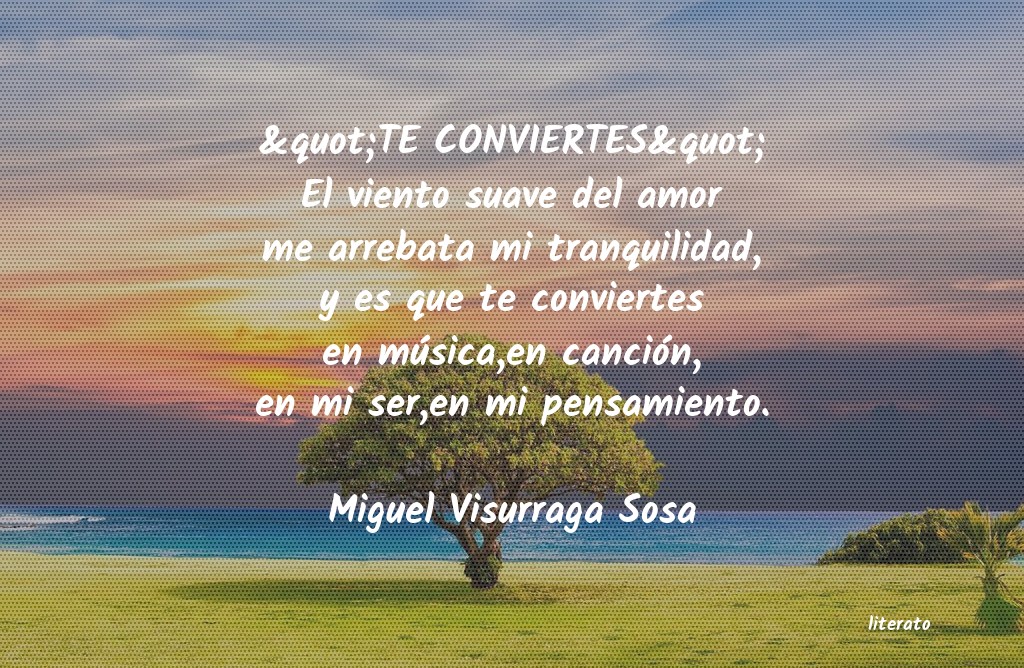 Frases de Miguel Visurraga Sosa