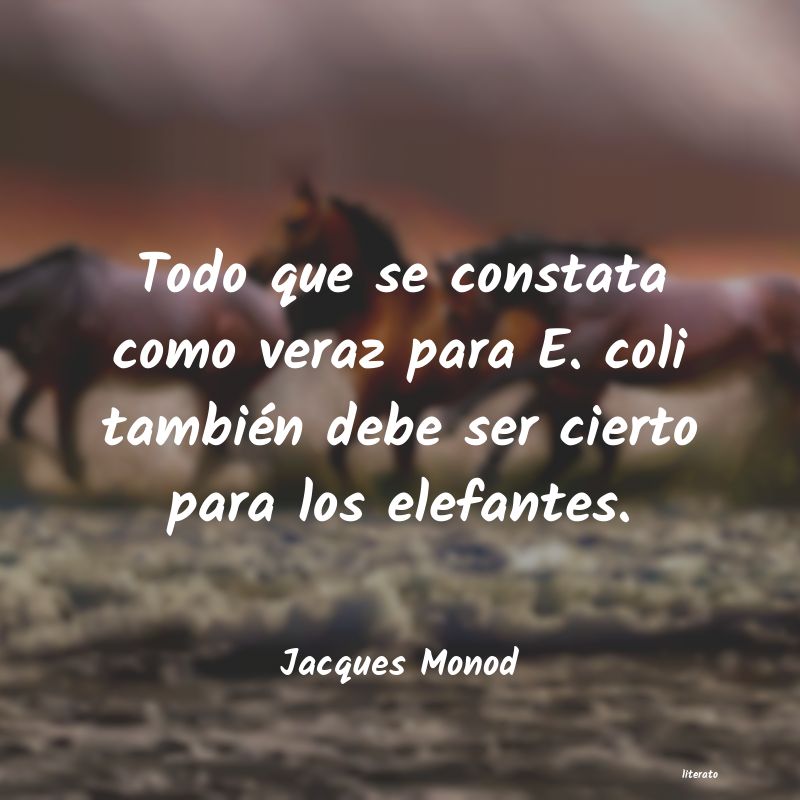 Frases de Jacques Monod