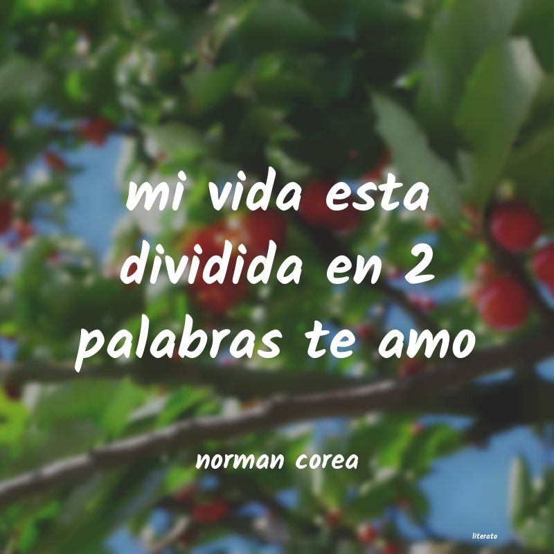 Frases de norman corea