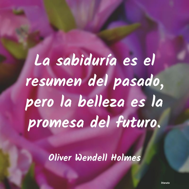 frases de Oliver Wendell Holmes