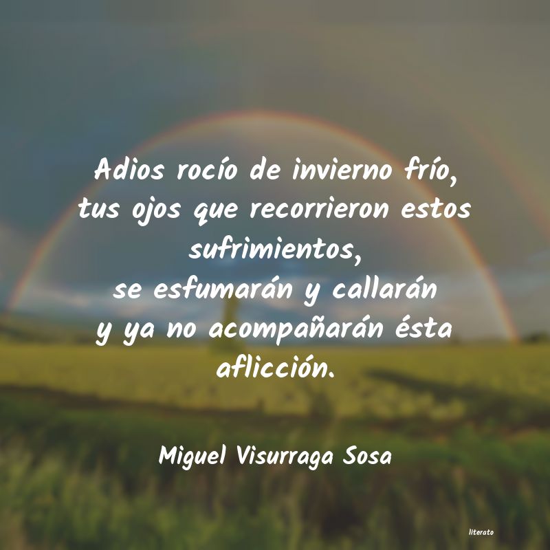 frases de Miguel Visurraga Sosa