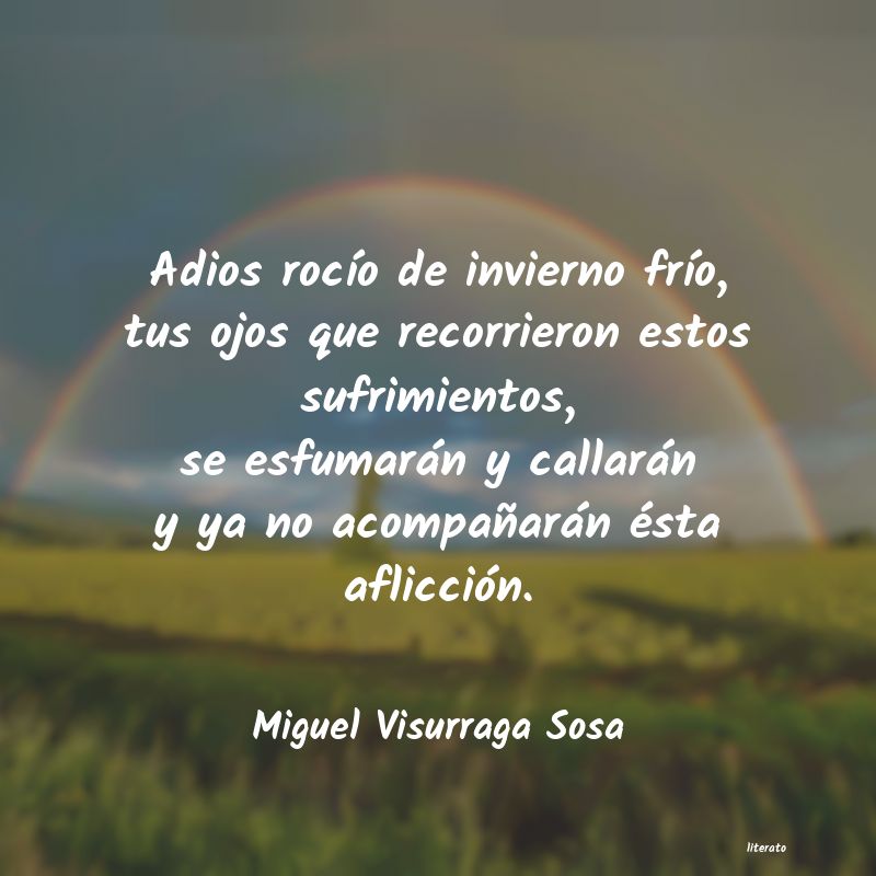 Frases de Miguel Visurraga Sosa