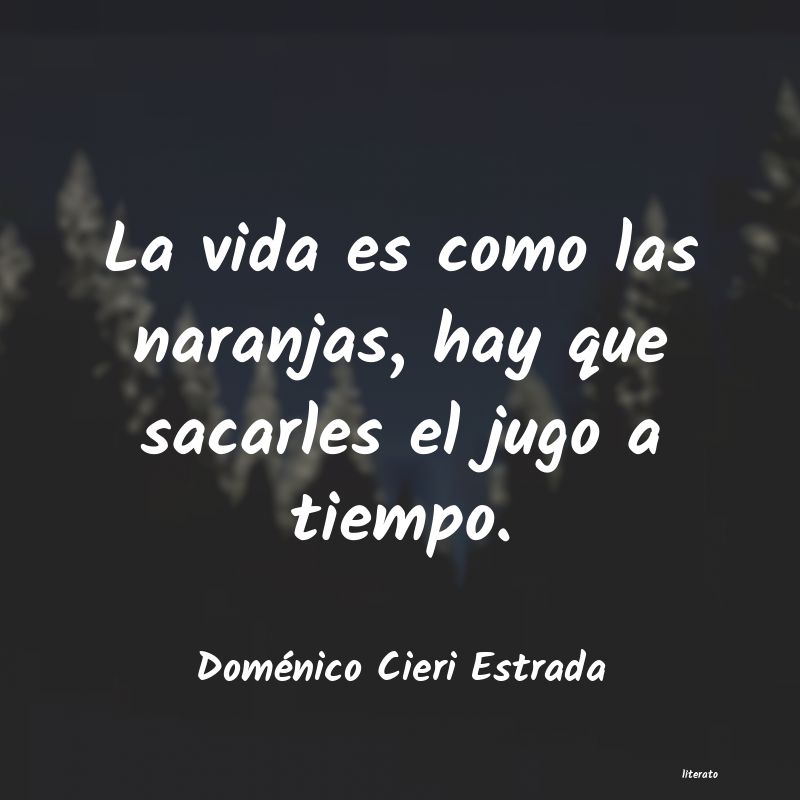 Frases de Doménico Cieri Estrada