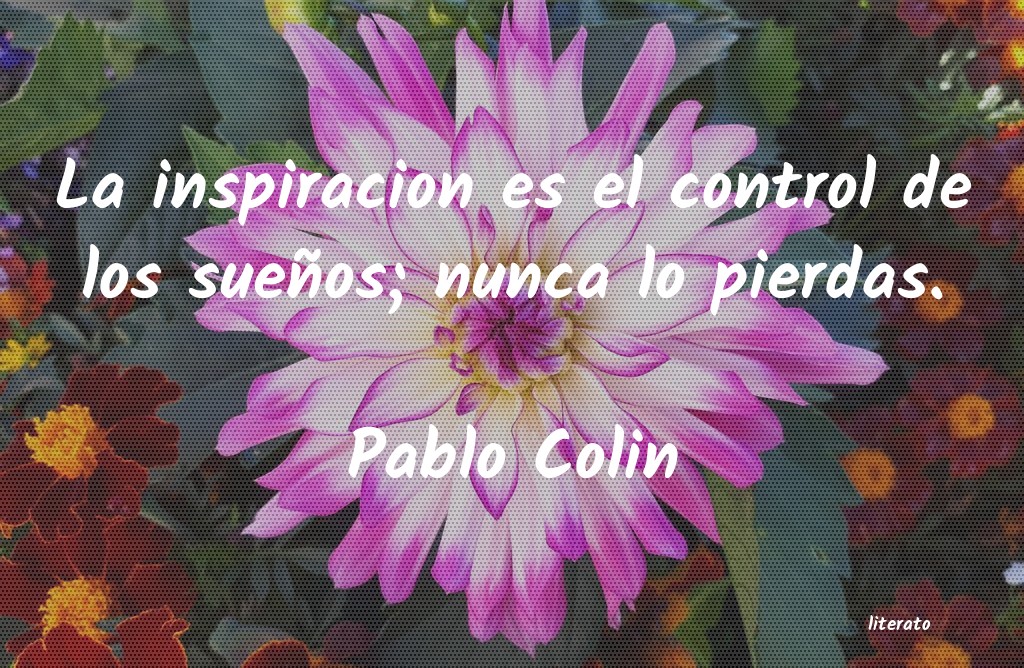 Frases de Pablo Colin