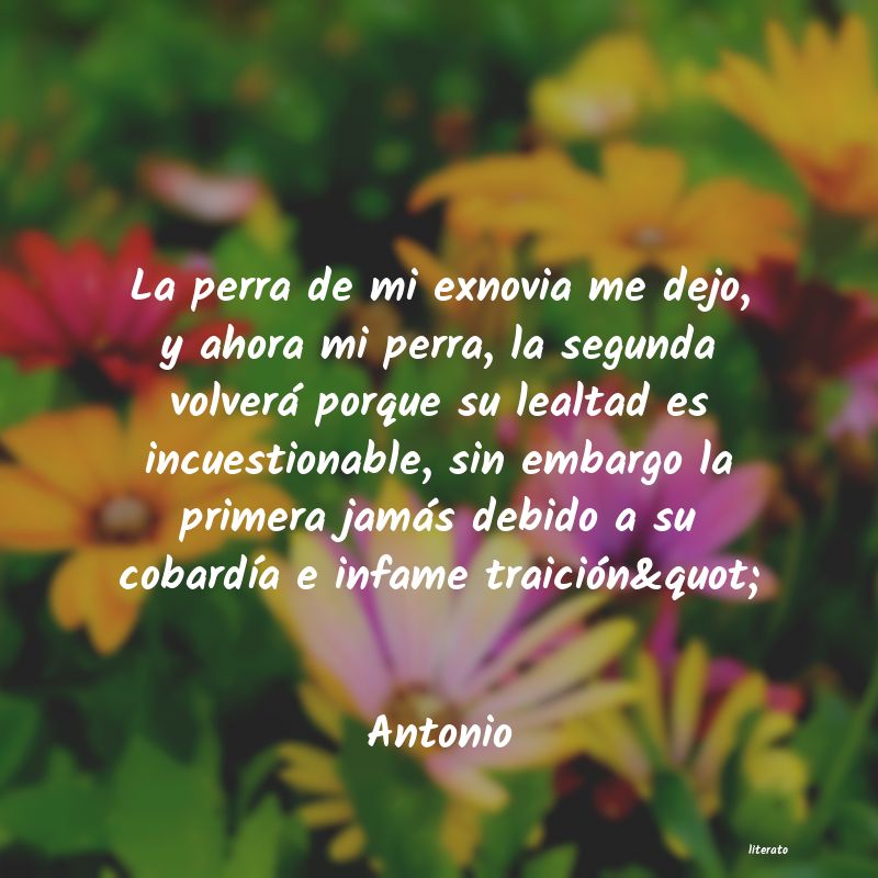 Frases de Antonio