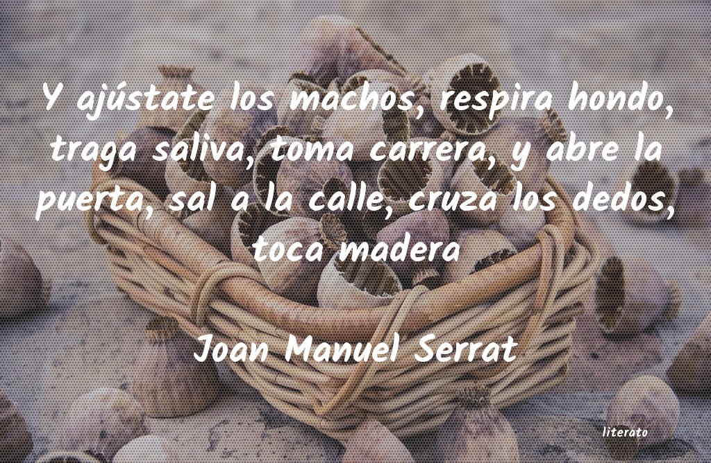 frases de Joan Manuel Serrat