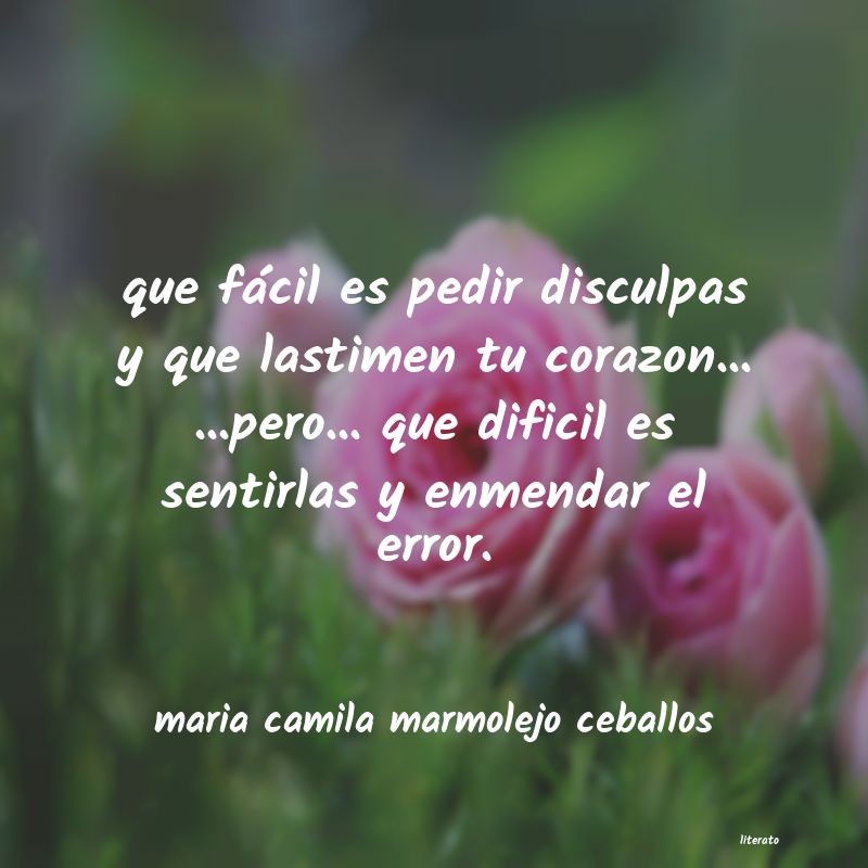 frases para pedir disculpas