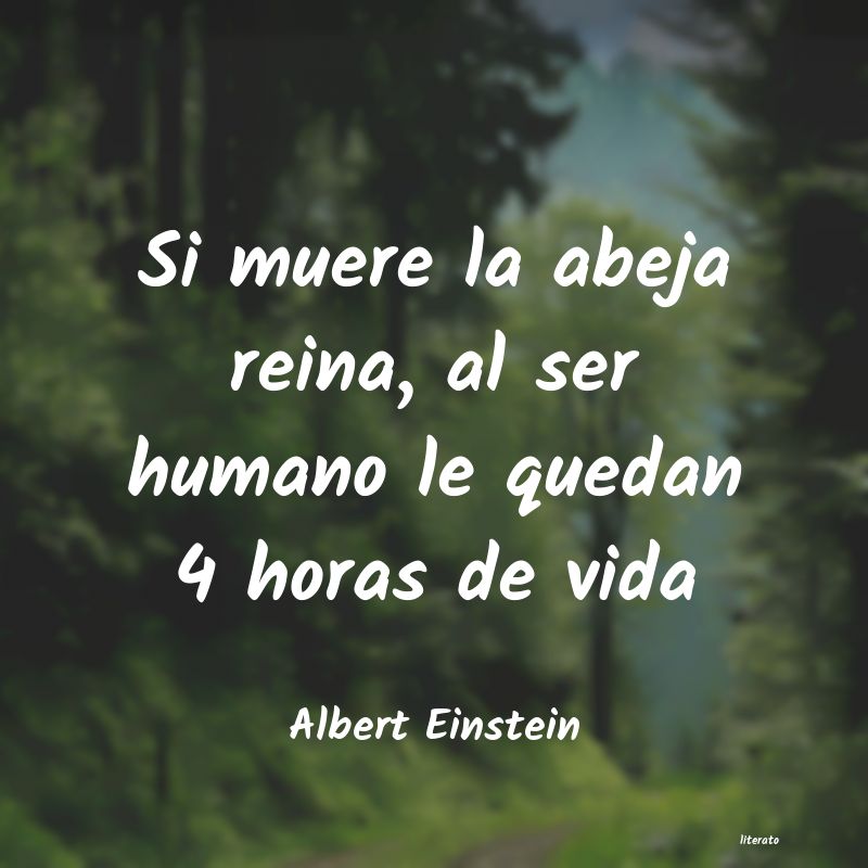 frases de Albert Einstein
