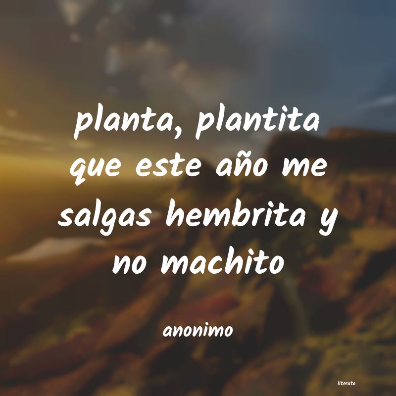 frases