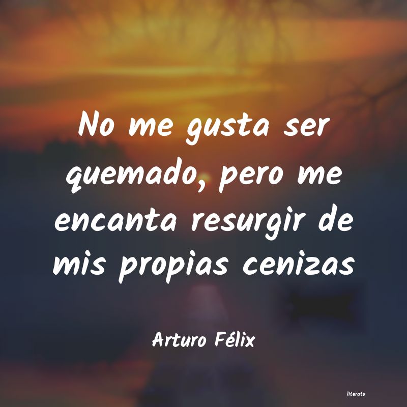 frases de Arturo Félix