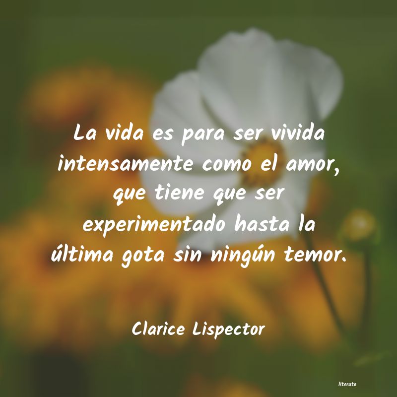 Frases de Clarice Lispector