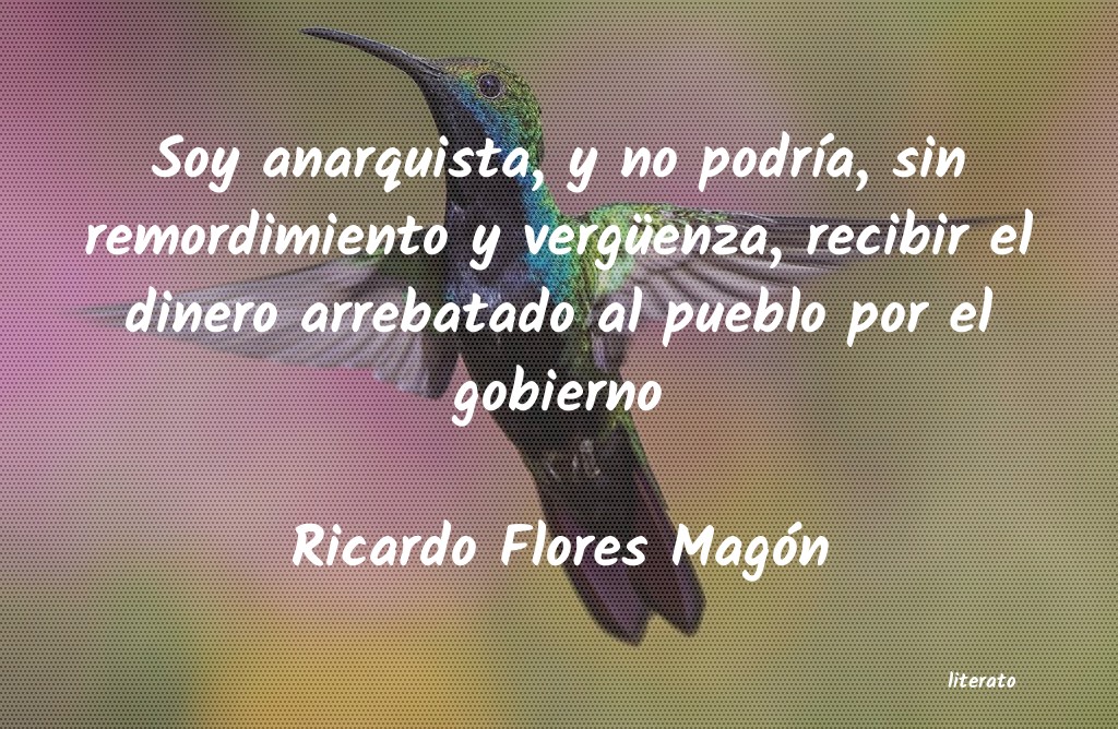 frases de Ricardo Flores MagÃ³n