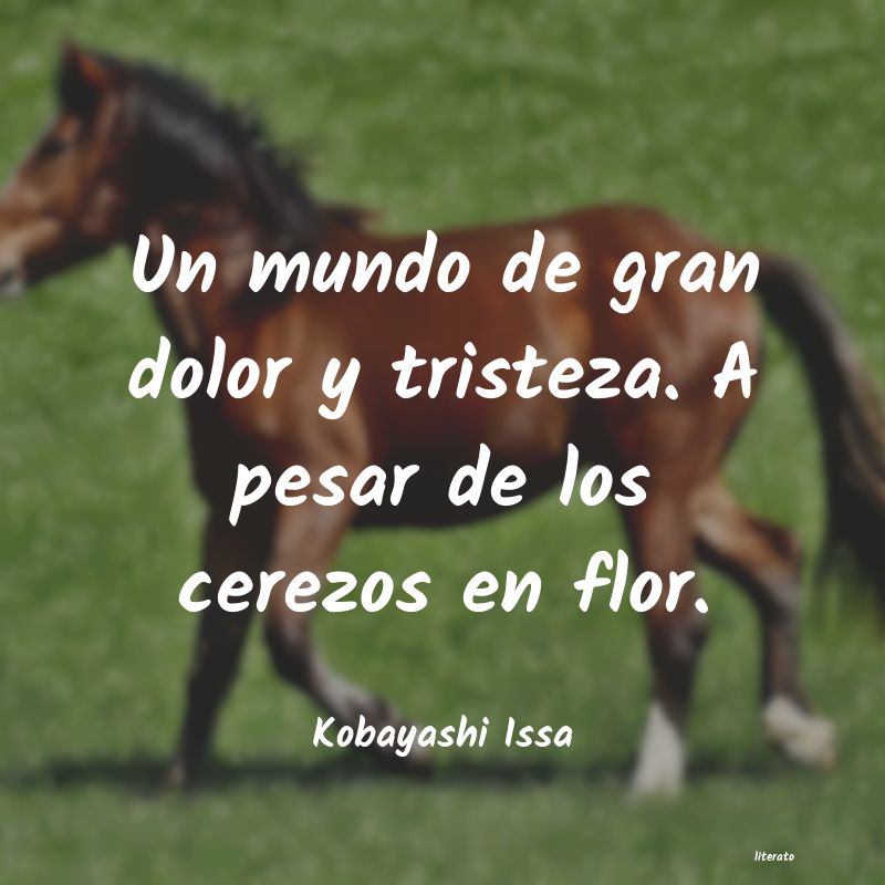 Frases de Kobayashi Issa