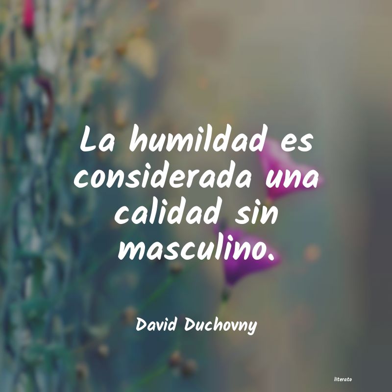 frases de David Duchovny