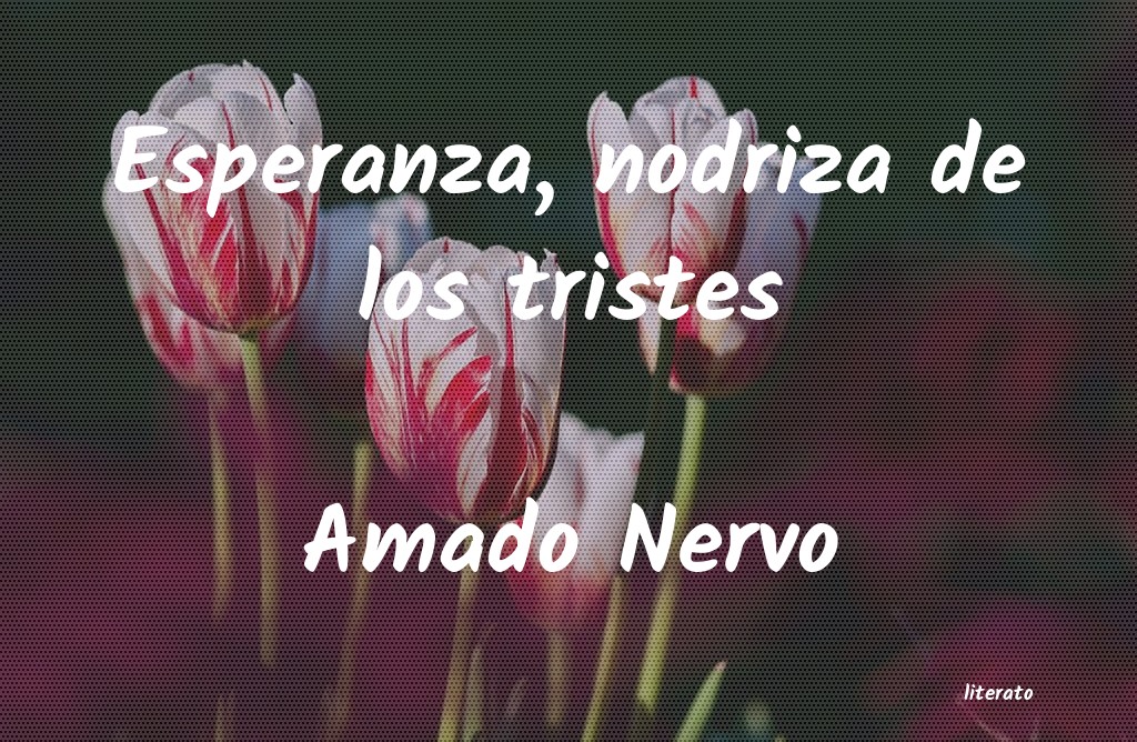 Frases de Amado Nervo