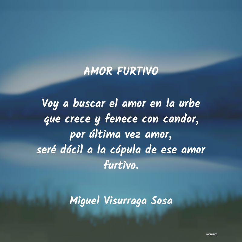 frases de Miguel Visurraga Sosa