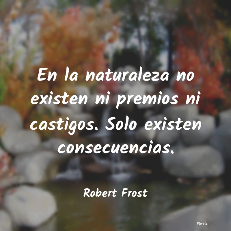 Frases de Robert Frost