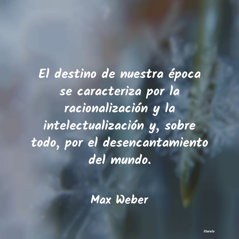 Frases de Max Weber
