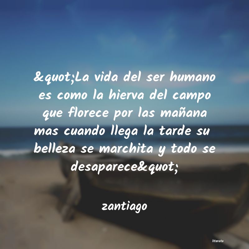 Frases de zantiago