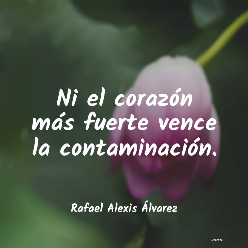 frases de Rafael Alexis Ãlvarez