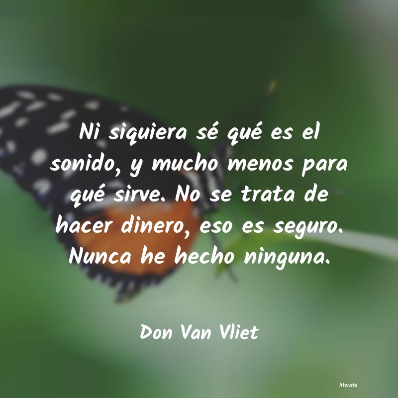 Frases de Don Van Vliet
