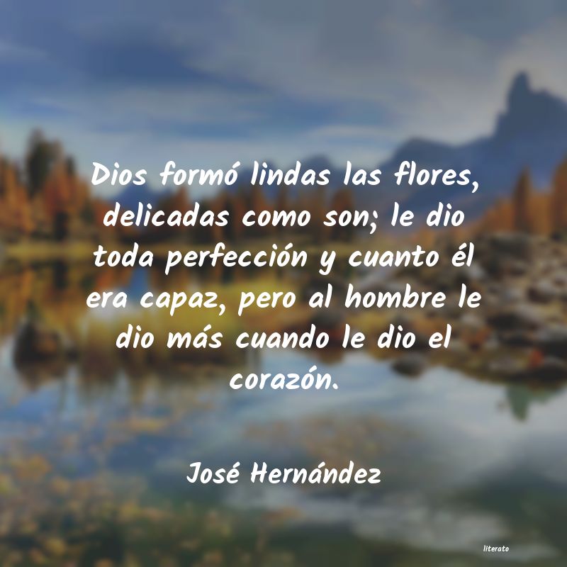 Frases de José Hernández