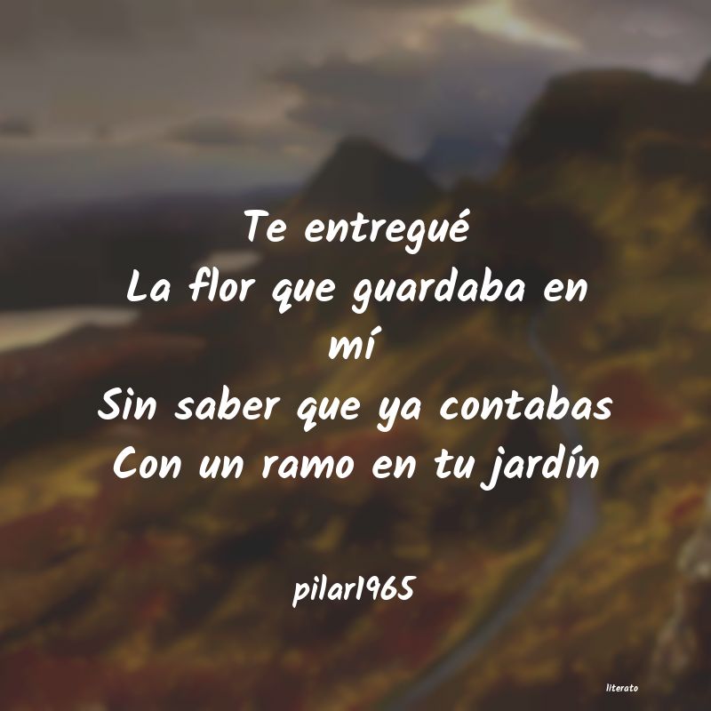 Frases de pilar1965