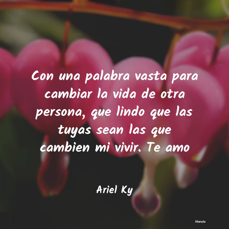 frases de Ariel Ky