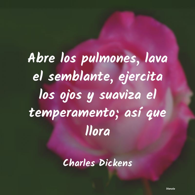 Frases de Charles Dickens