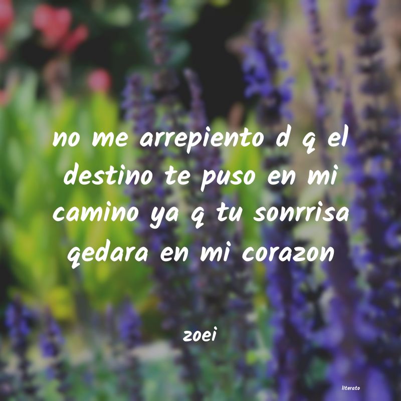 frases de zoei