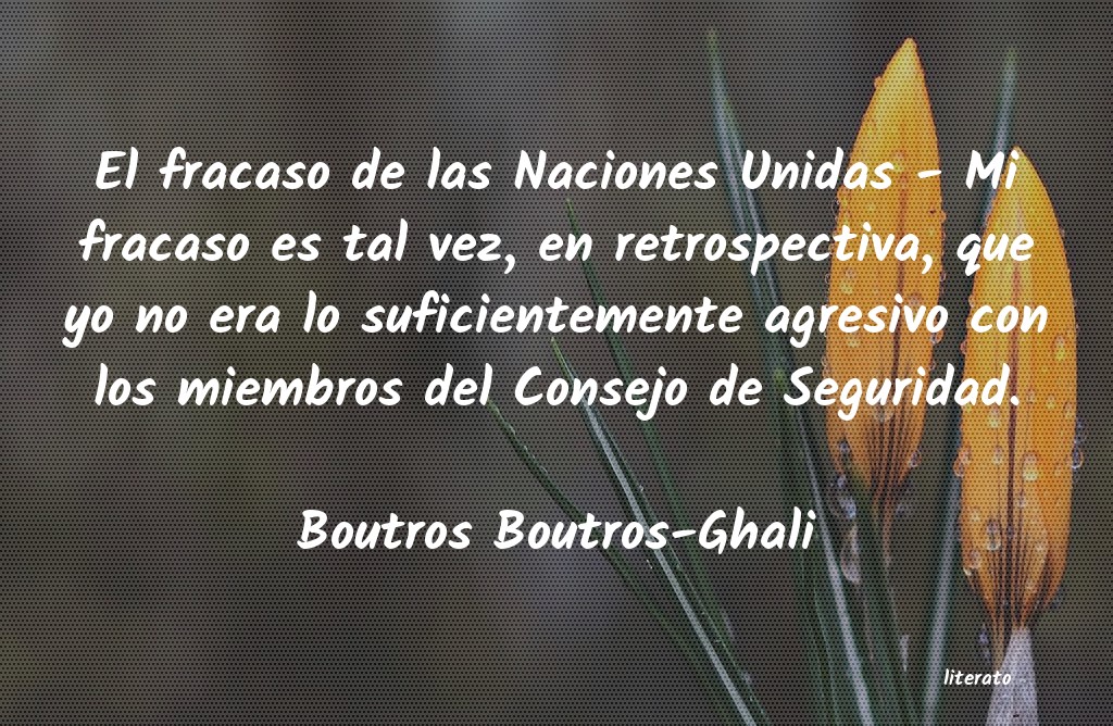 Frases de Boutros Boutros-Ghali