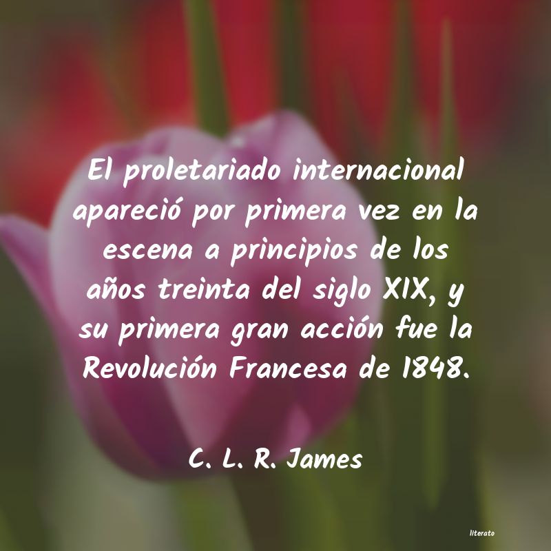 frases de C. L. R. James
