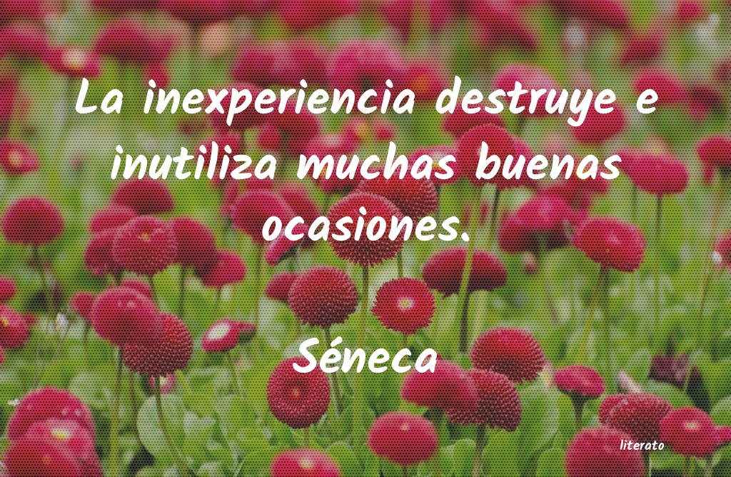 frases de SÃ©neca