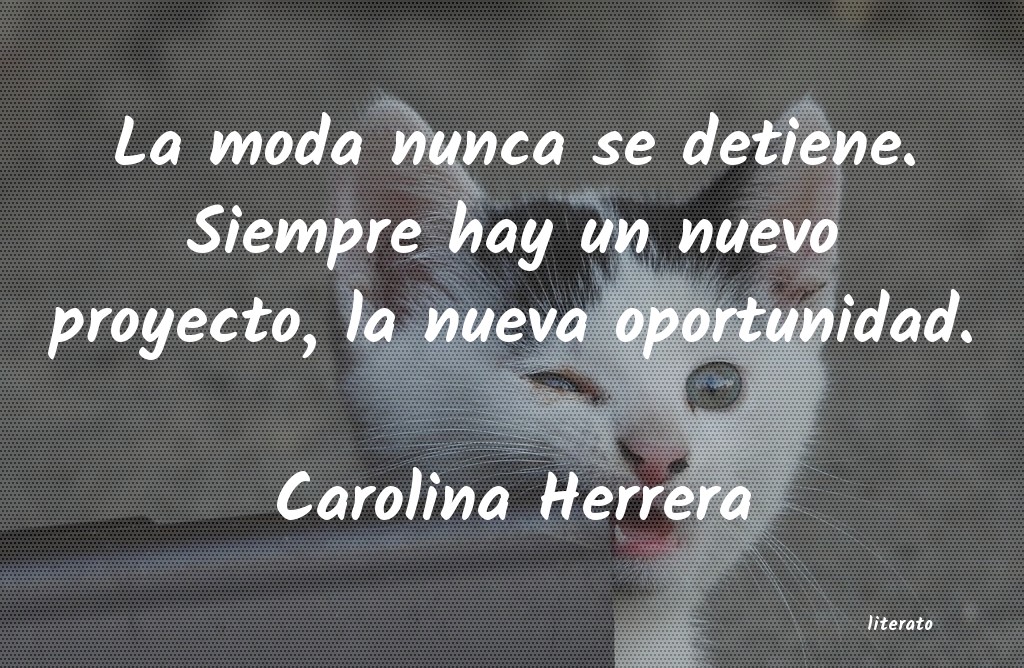 frases de Carolina Herrera
