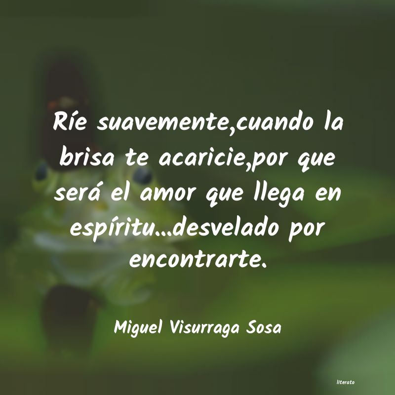 Frases de Miguel Visurraga Sosa