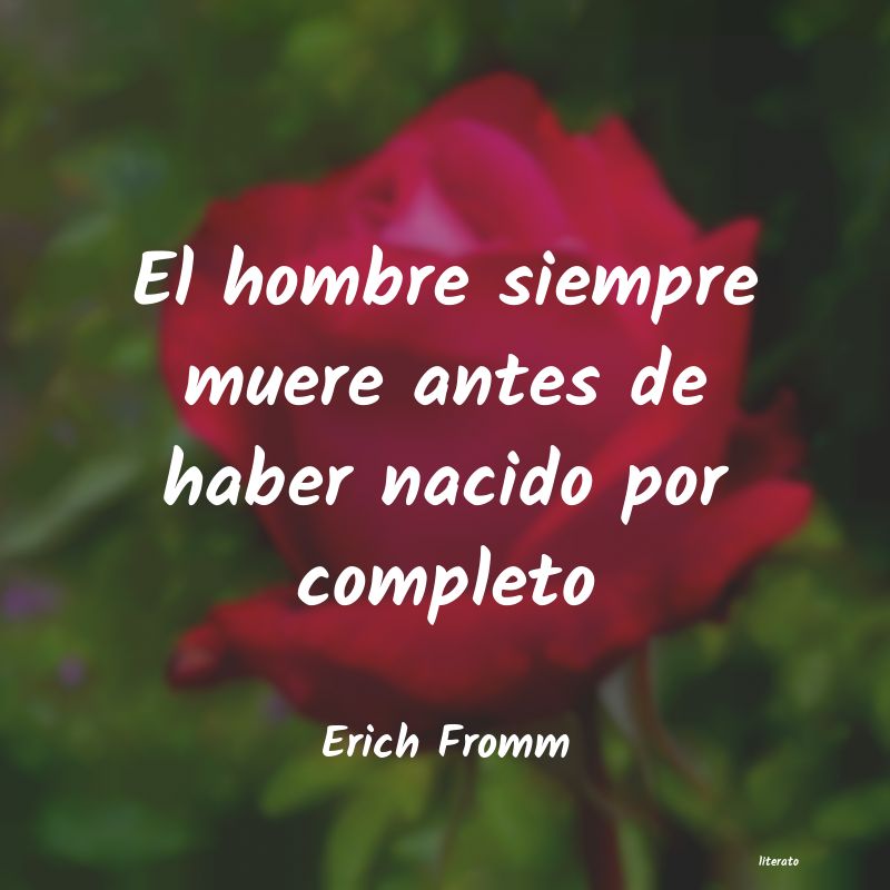 Frases de Erich Fromm