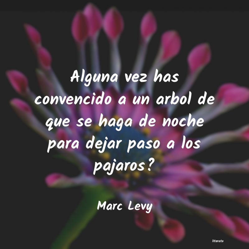 Frases de Marc Levy