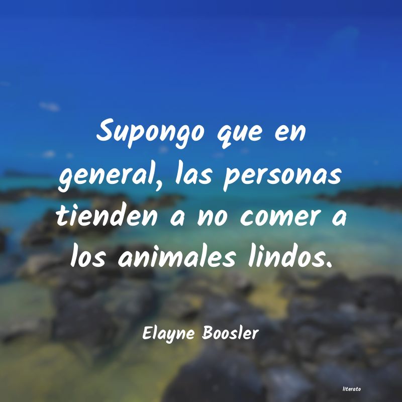 frases de Elayne Boosler