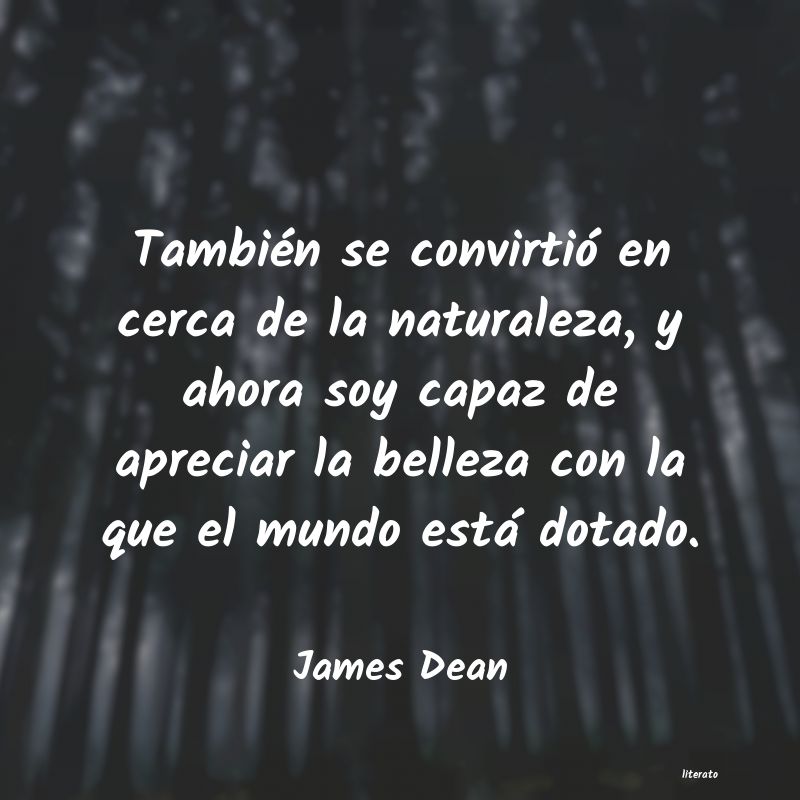 frases de James Dean