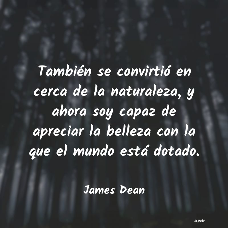 Frases de James Dean