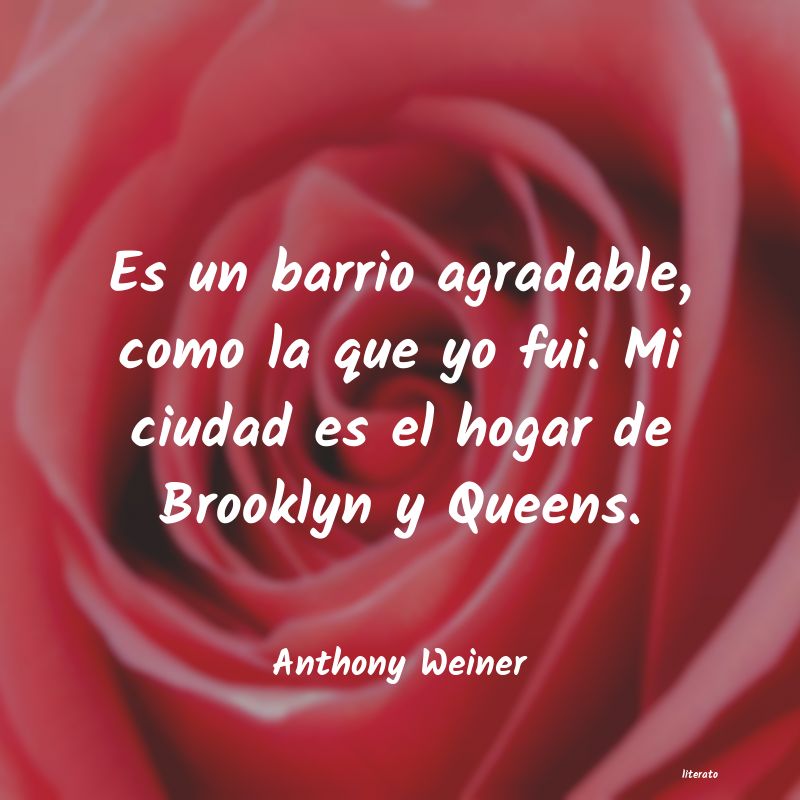 frases de Anthony Weiner