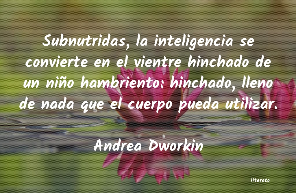 frases de Andrea Dworkin