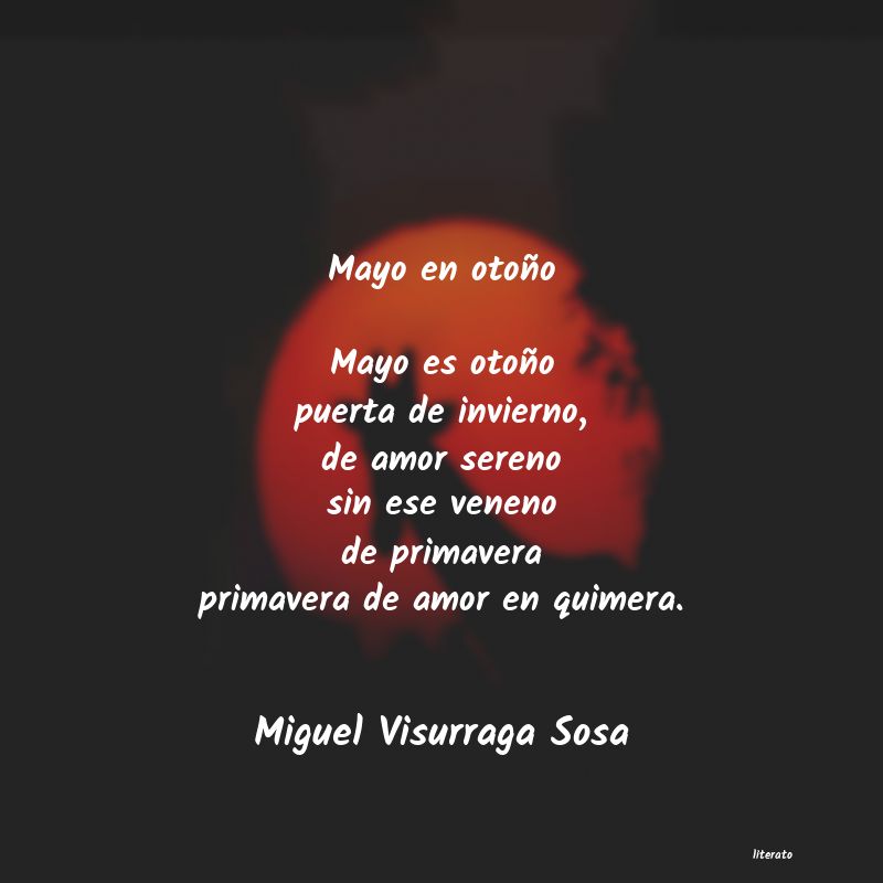 frases de Miguel Visurraga Sosa