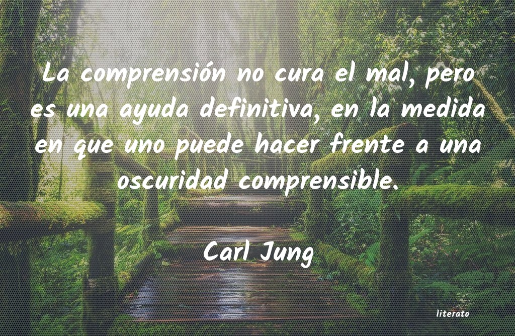 Frases de Carl Jung