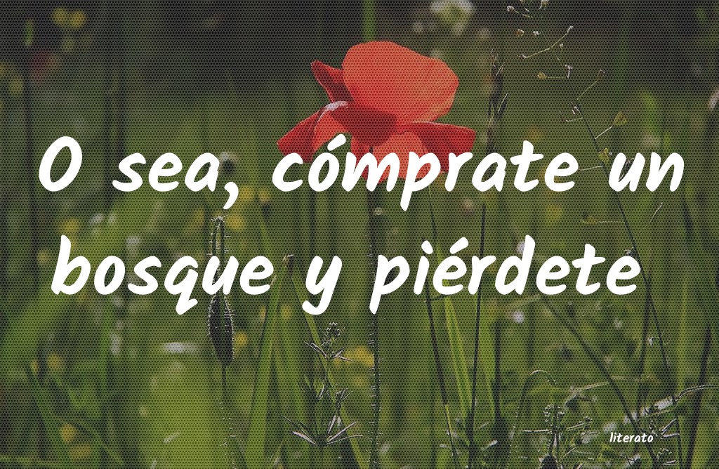 frases