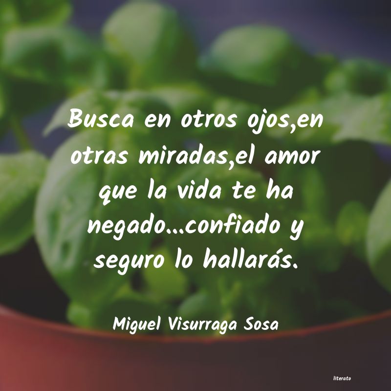 Frases de Miguel Visurraga Sosa